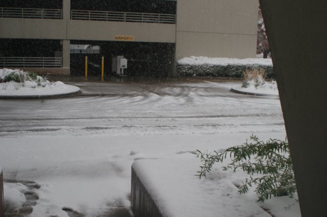 snowindenver10.jpg