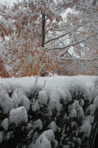 snowindenver8.jpg